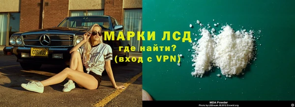 гашик Алексин