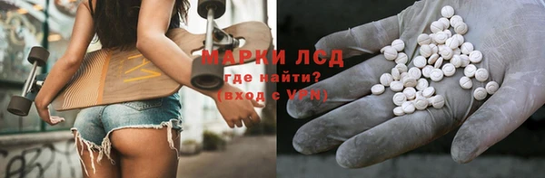 гашик Алексин
