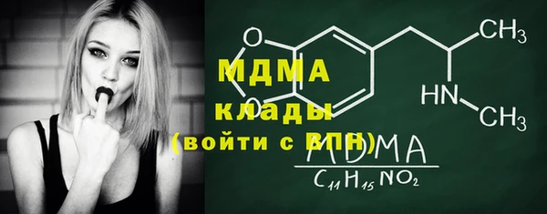 гашик Алексин
