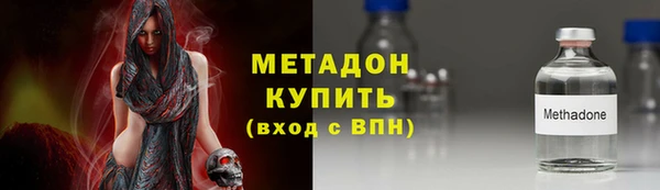 гашик Алексин