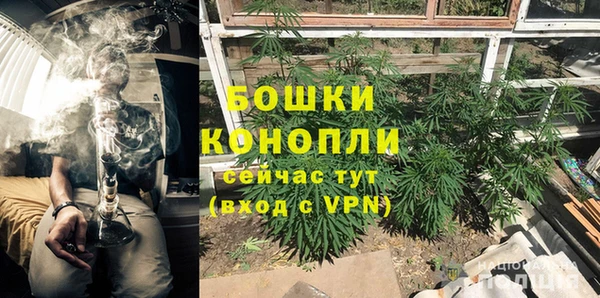 ПСИЛОЦИБИНОВЫЕ ГРИБЫ Костерёво