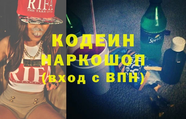 гашик Алексин