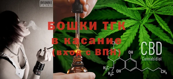 гашик Алексин