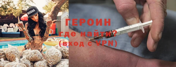 гашик Алексин
