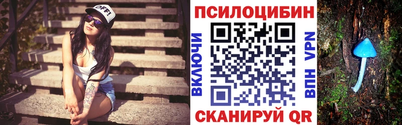 наркотики  МЕГА маркетплейс  Псилоцибиновые грибы Cubensis  Ейск 